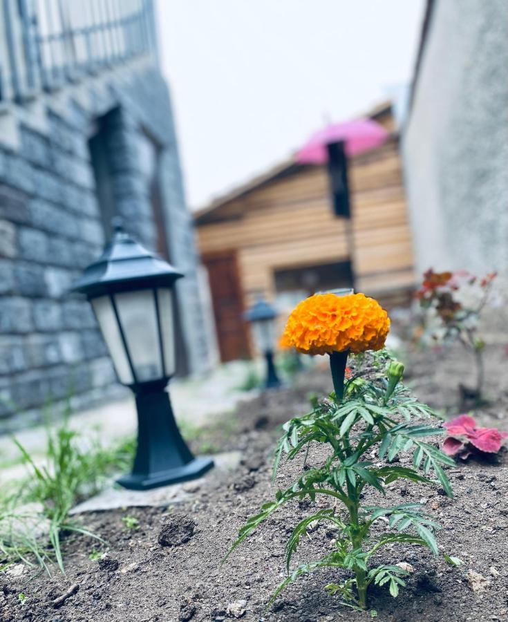 Noy Guest House B&B Vanadzor Exterior foto